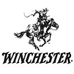 logo winchester